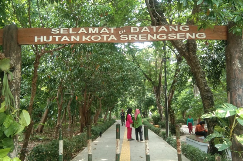 Hutan Kota Srengseng Jadi Spot Menarik Mulai Dari Jogging Hingga Memancing