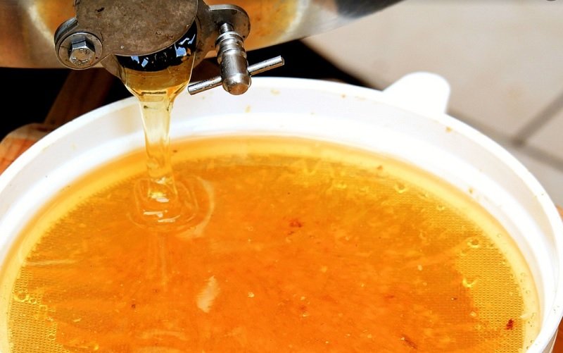 Madu Alami