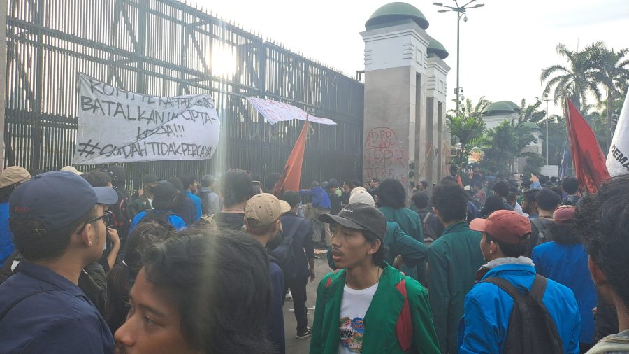 Mahasiswa Demo di DPR