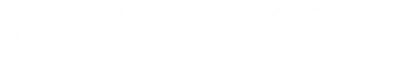Holopis