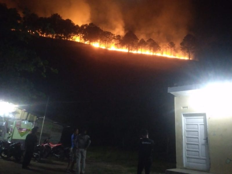 Kebakaran lahan di Kabupaten Dairi