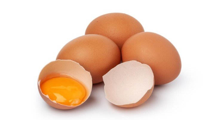 Telur