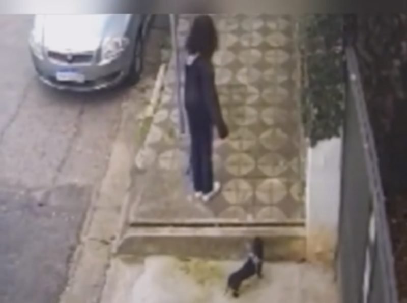 CCTV kecelakaan