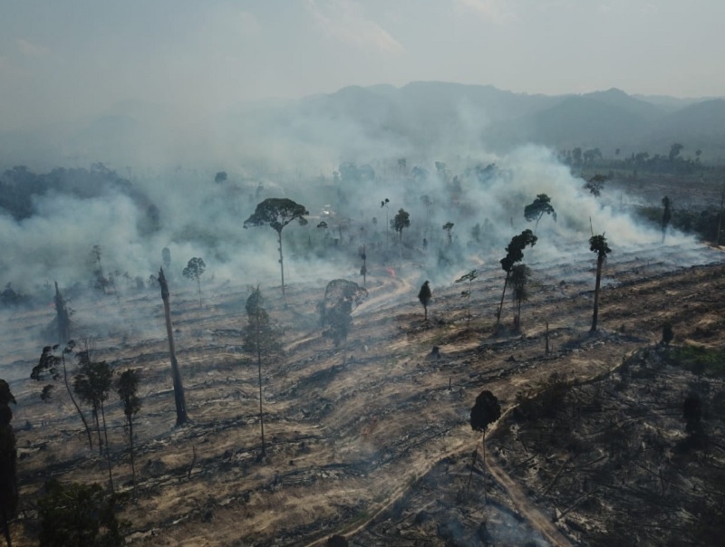 Karhutla di Kabupaten Tebo