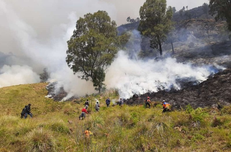 Kawasan Bromo