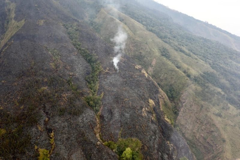 kebakaran lahan di Gunung Arjuno