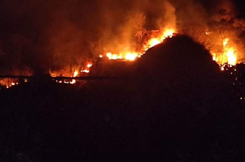kebakaran lereng gunung jayanti