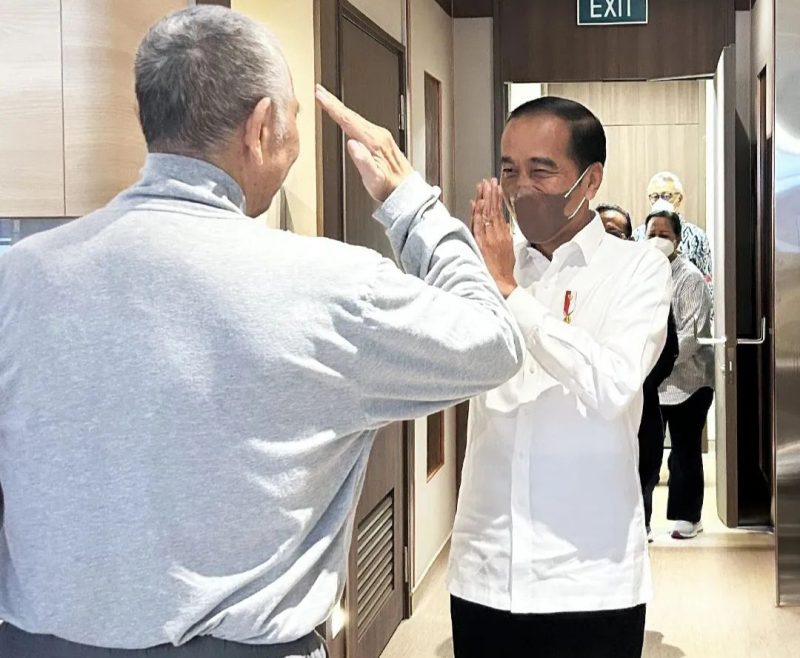 Jokowi Jenguk Luhut