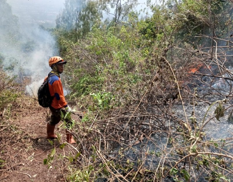 Kebakaran Gunung Panderman