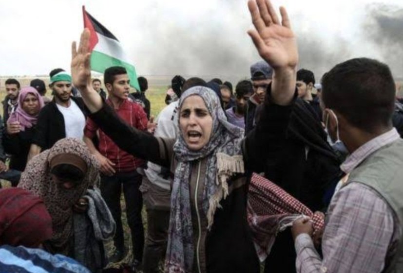Perang palestina dan israel