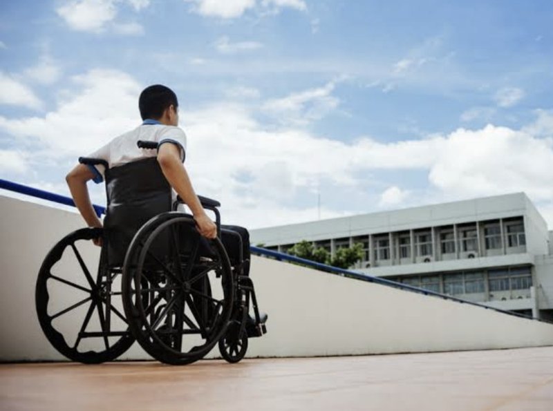 Penyandang Disabilitas