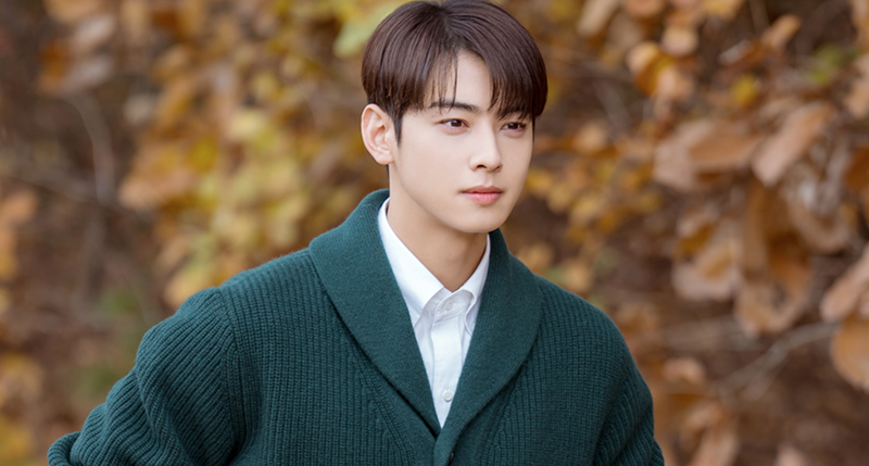 Cha Eun Woo