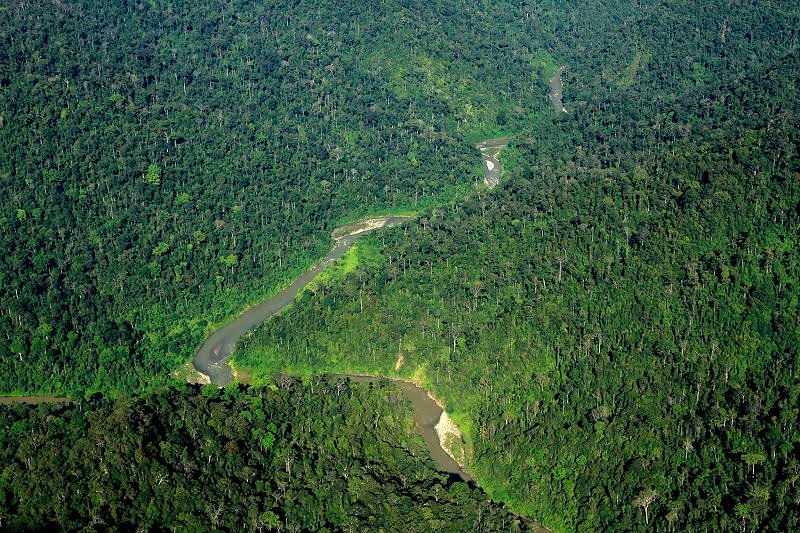 Gunung Leuser