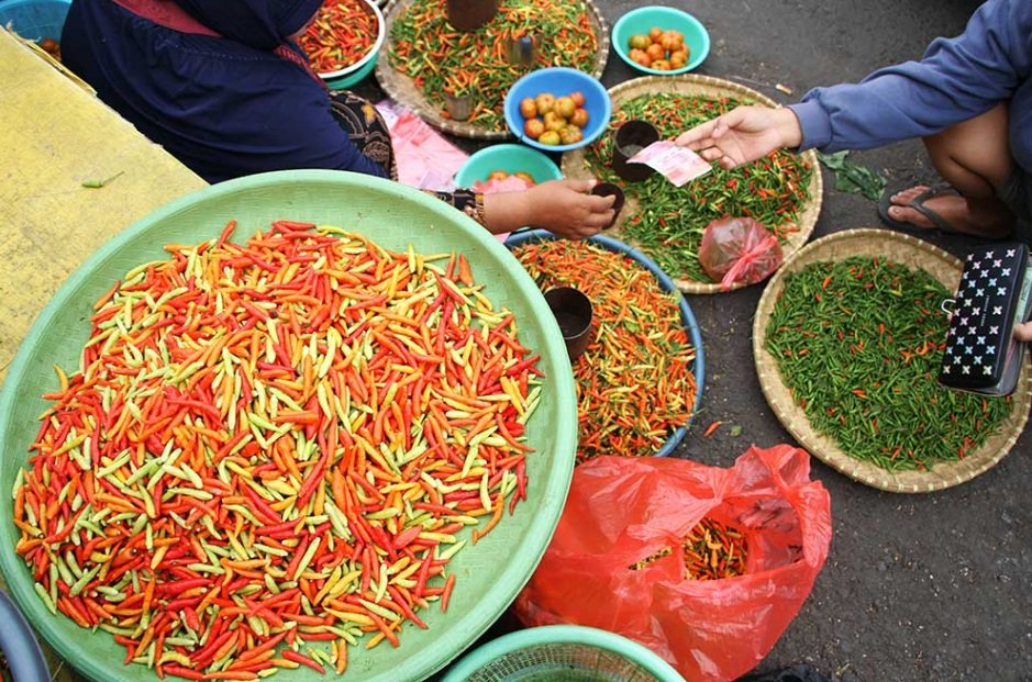 Bahan Pangan