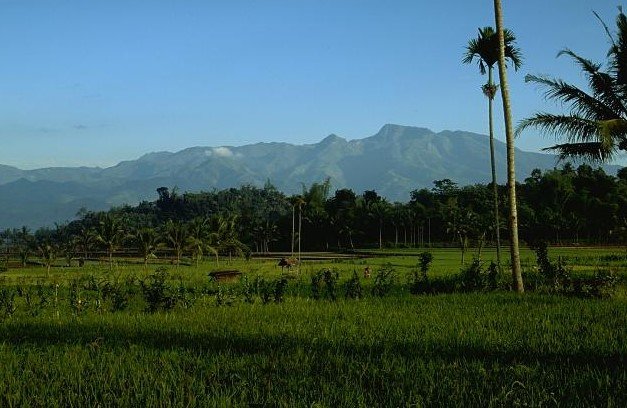 Gunung Argopuro