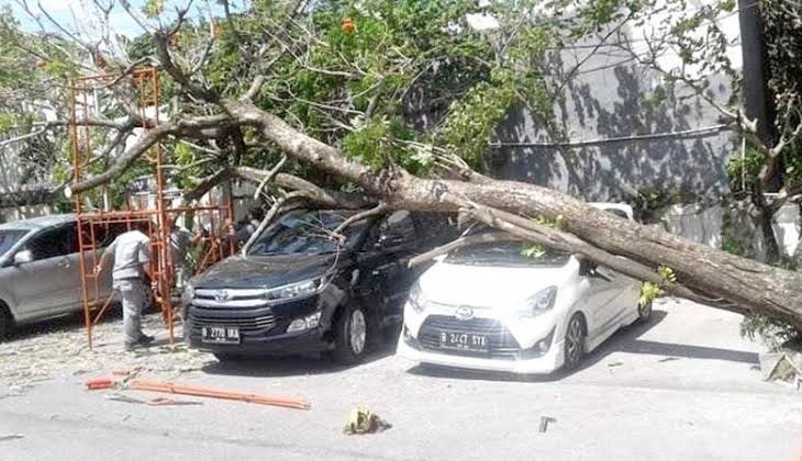 Kendaraan Tertimpa Pohon