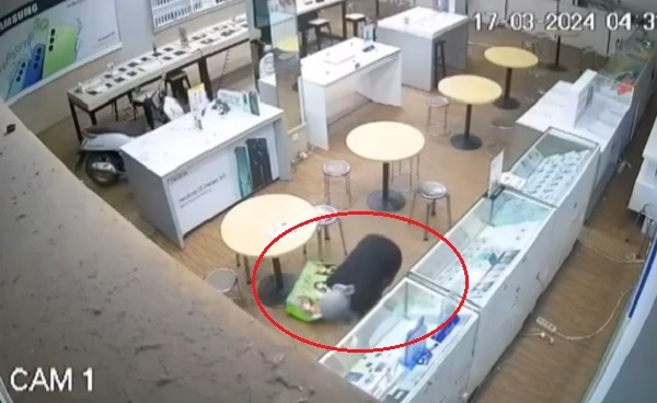 Pelaku bobol toko ponsel terekam kamera CCTV