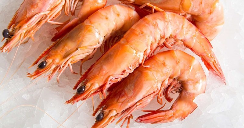 Udang