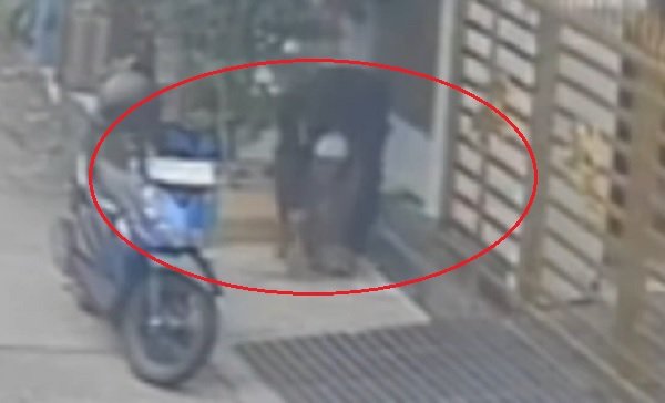 Pelaku Pencurian Kucing di Tangerang