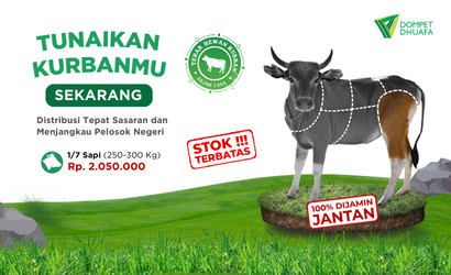 Sapi