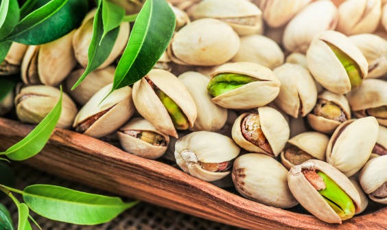 Pistachio holopis.com