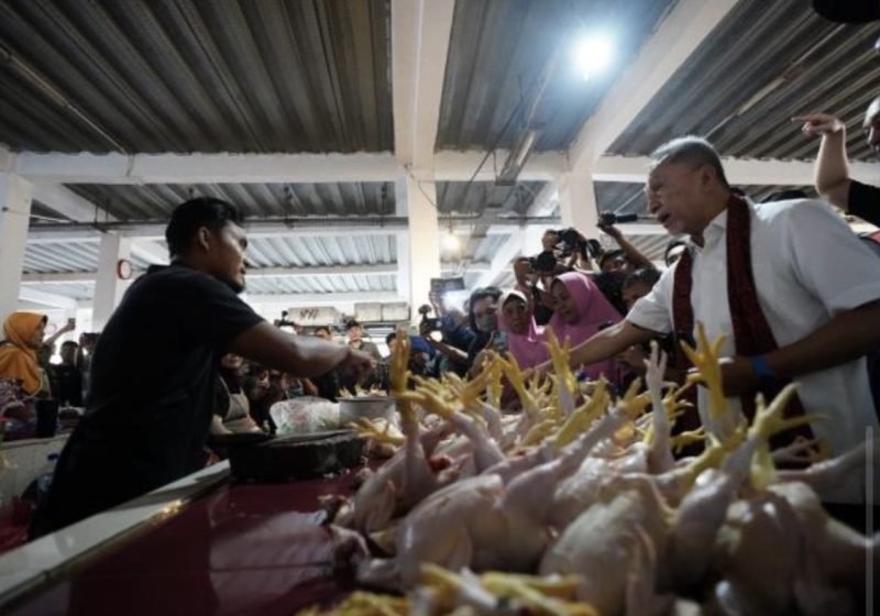Mendag Zulkifli Hasan Pantau Harga Ayam di Pasar. holopis