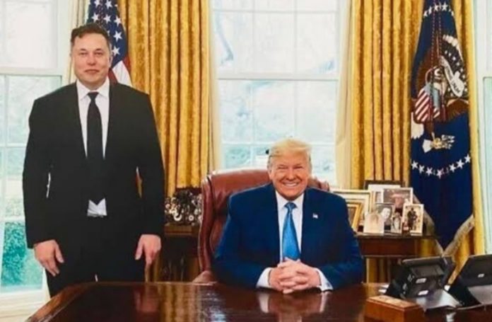 elon musk dan donald trump