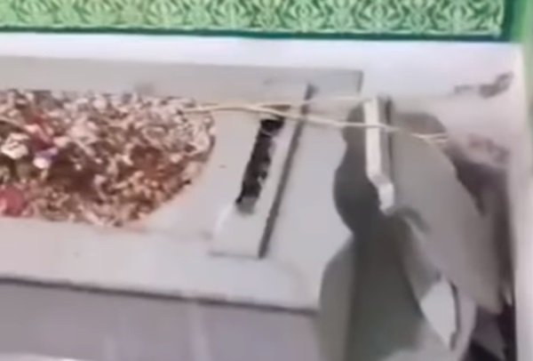 Viral makam di Masjid Agung Karawang dirusak oknum tak bertanggung jawab