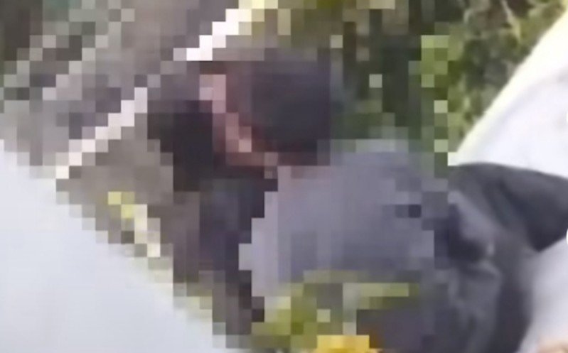 viral pasangan muda mudi bikin adegan bokep di publik