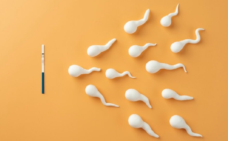 Ilustrasi Sperma