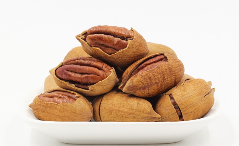 Kacang Kenari Kacang Kenari