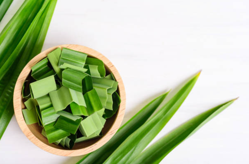 Daun Pandan