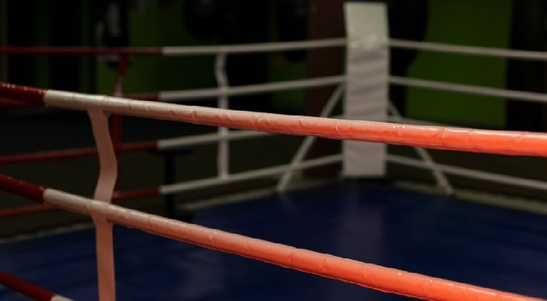 Ilustrasi Venue MMA