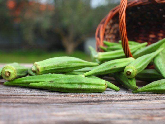 okra