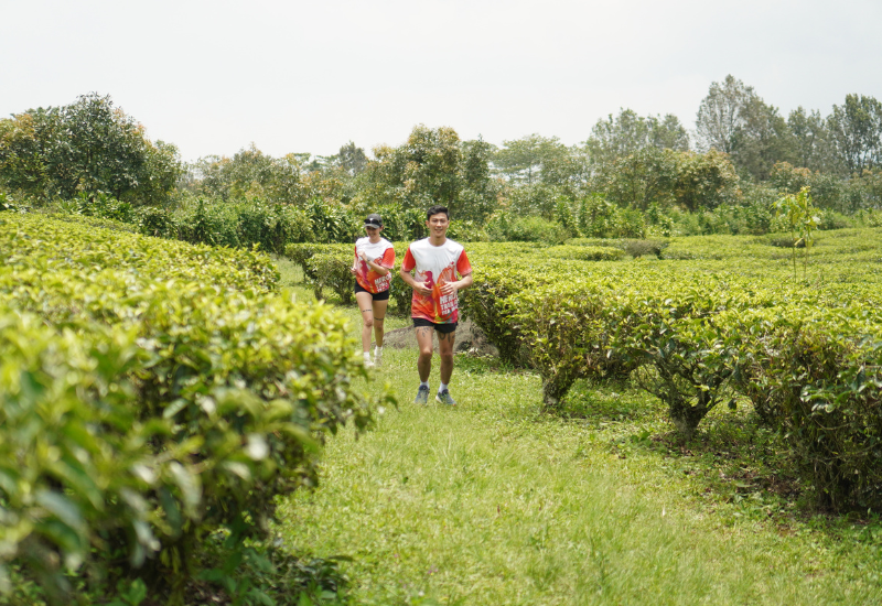 heroes trail run 2024