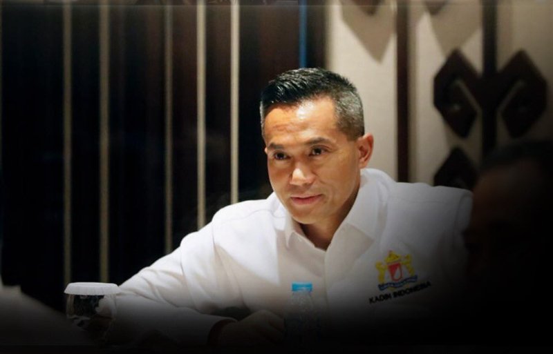 Anindya Bakrie Kadin Indonesia