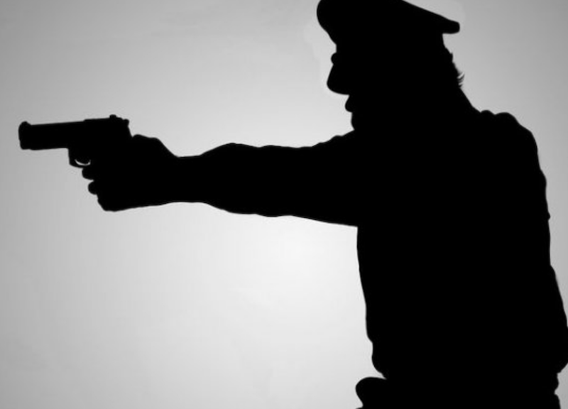 Senjata Polisi