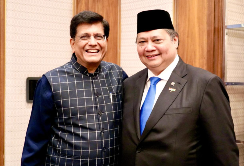 Airlangga Hartarto dan Piyush Goyal