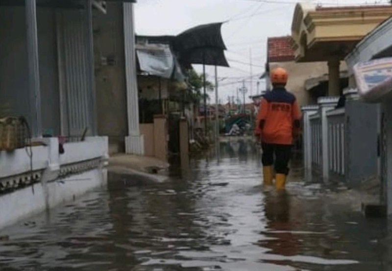 banjir rob di kabupaten tegal