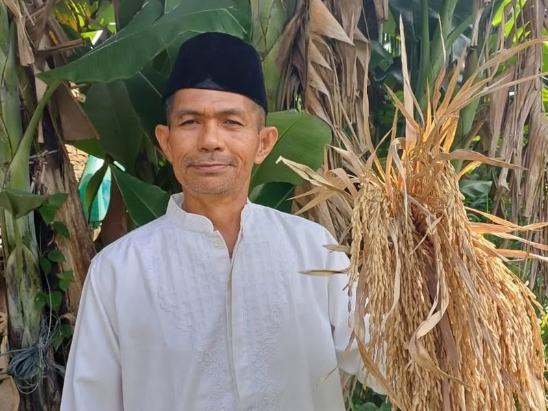 Ketua Umum Serikat Petani Indonesia Henry Saragih