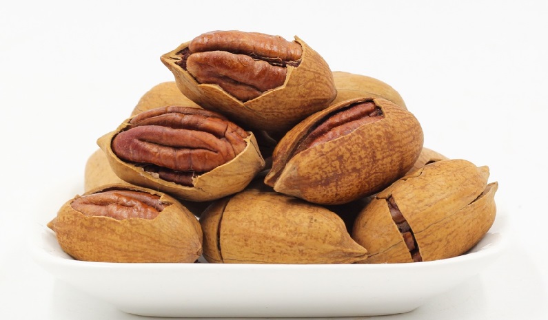 Manfaat Kacang Kenari