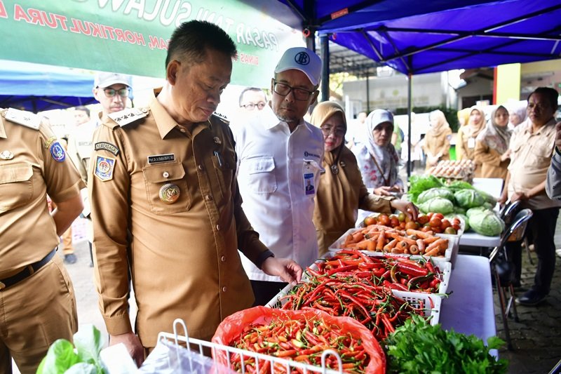 Pj Gubernur Sulsel Fadjry Djufry - HOLOPIS