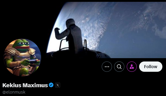 Profil X Milik Elon Musk