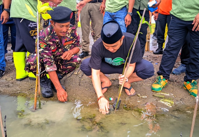 Ahmad Rifqi Al Mubarok Tanam Mangrove di Brebes