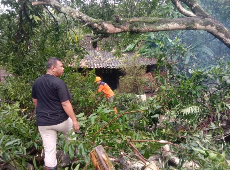 Angin kencang di Sragen