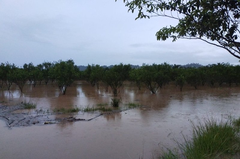 Banjir di Toli Toli