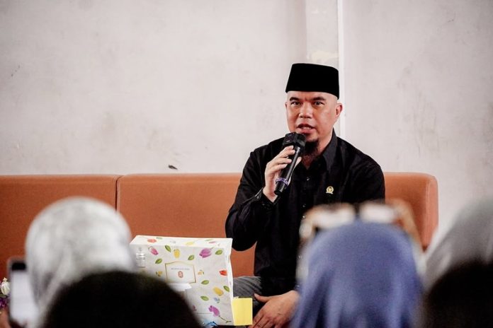 Ahmad Dhani, Musisi sekaligus Anggota DPR RI