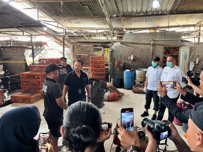 Rumah Pemotongan Ayam Gelonggong di Jakarta Selatan - HOLOPIS