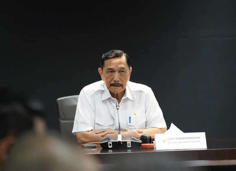 ketua den luhut binsar