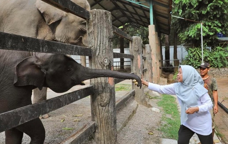 Kebun binatang ragunan